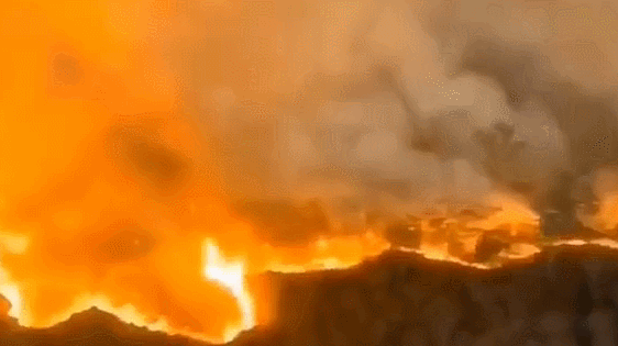 佛山高明山林火災最新動態(tài)！現(xiàn)場猶如災難片！